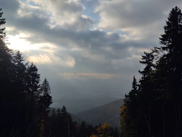 自然を背景にした山の森の美しい風景 — ストック写真