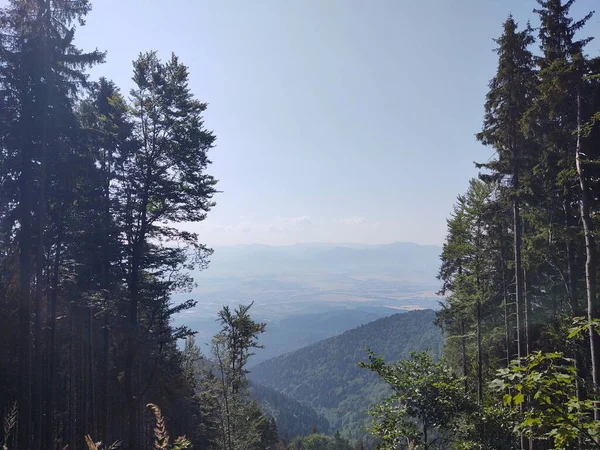 Dağları Ormanı Olan Güzel Bir Manzara — Stok fotoğraf