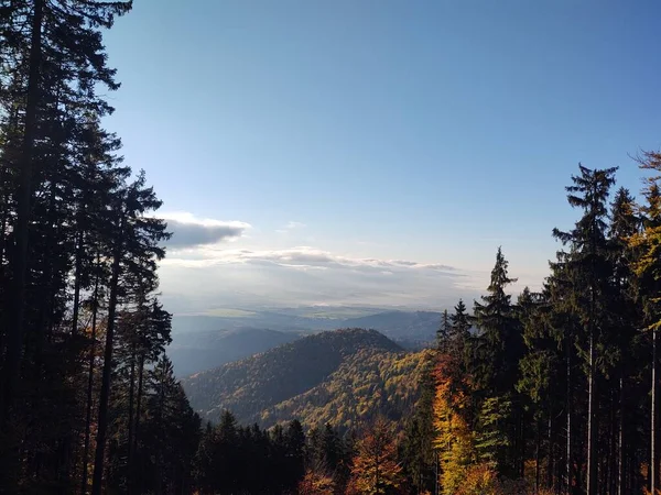 山と森の美しい風景 — ストック写真