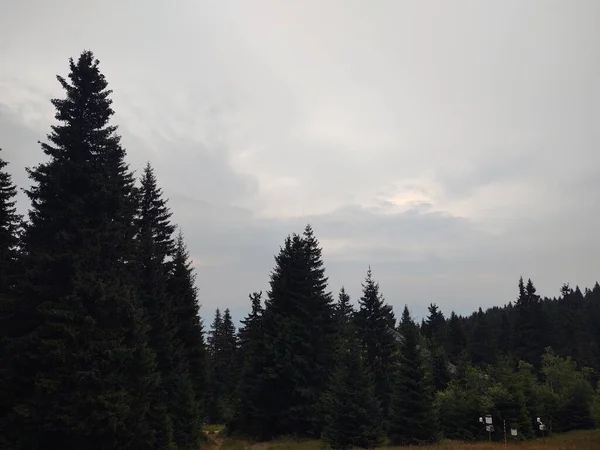Schöne Landschaft Mit Bergen Und Wald — Stockfoto