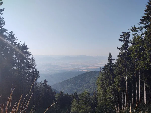 Dağları Ormanı Olan Güzel Bir Manzara — Stok fotoğraf