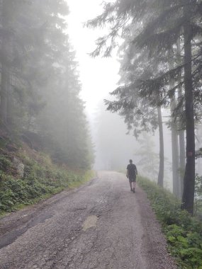 Sisli ormanda yürüyüş yapan bir adam