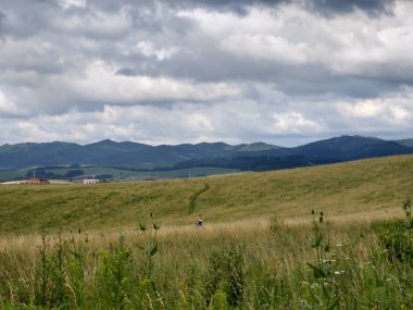 Tarlası olan güzel dağ manzarası