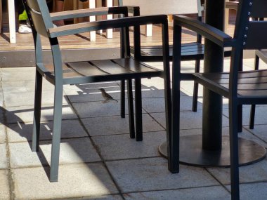 Gün batımında açık kafede sandalyeler.