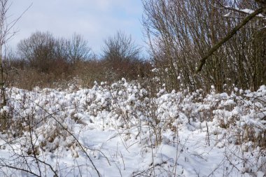 kış sezonu karlı manzara
