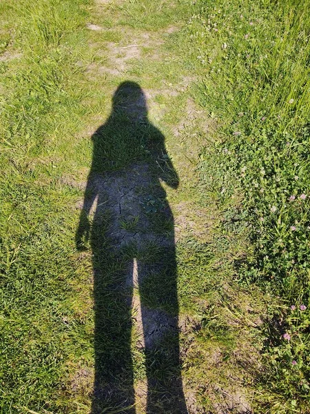 Yeşil Tarladaki Kadının Gölgesi — Stok fotoğraf