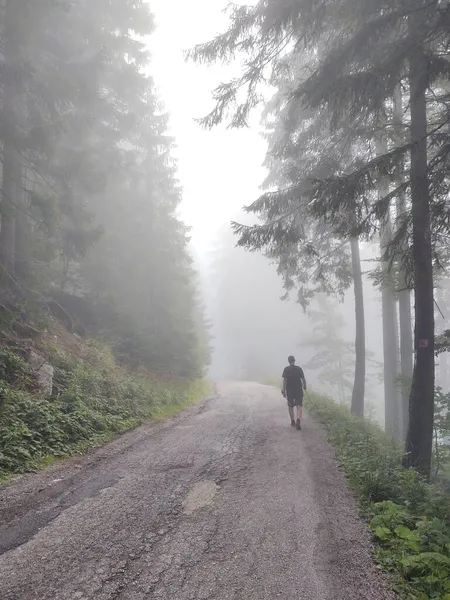 Escursioni Dell Uomo Sul Sentiero Nella Foresta Nebbiosa — Foto Stock