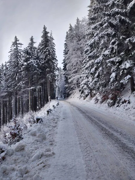 Дорога Зимнем Лесу Горах — стоковое фото