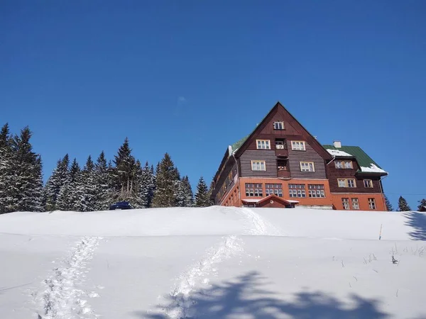 Trähus Vinterskog — Stockfoto