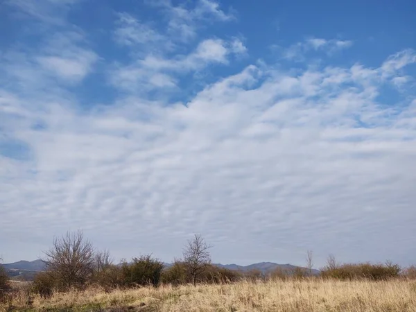 Krásná Jarní Krajina Dne — Stock fotografie