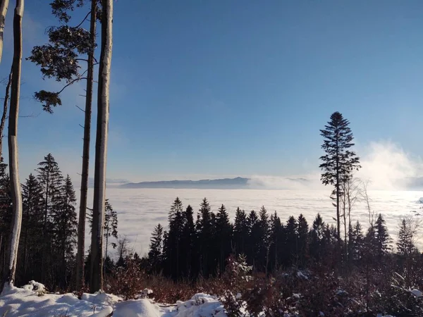 Красивий Зимовий Пейзаж Горах Хмарами — стокове фото