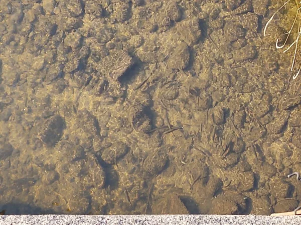 Background texture of ground in water
