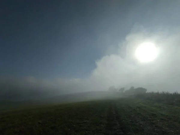 Schöne Landschaft Mit Feld Nebligen Morgen — Stockfoto