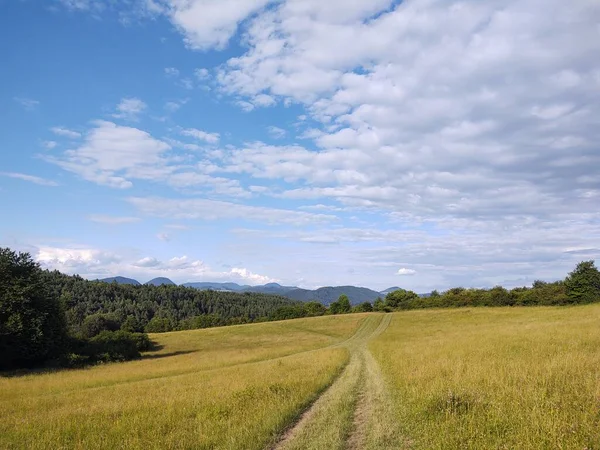 Bela Paisagem Montanhosa Com Campos Floresta — Fotografia de Stock