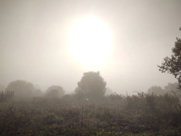 Прекрасный Пейзаж Туманное Утро — стоковое фото