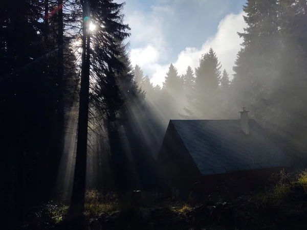 Schöne Aussicht Auf Wald Und Haus Vor Naturkulisse — Stockfoto