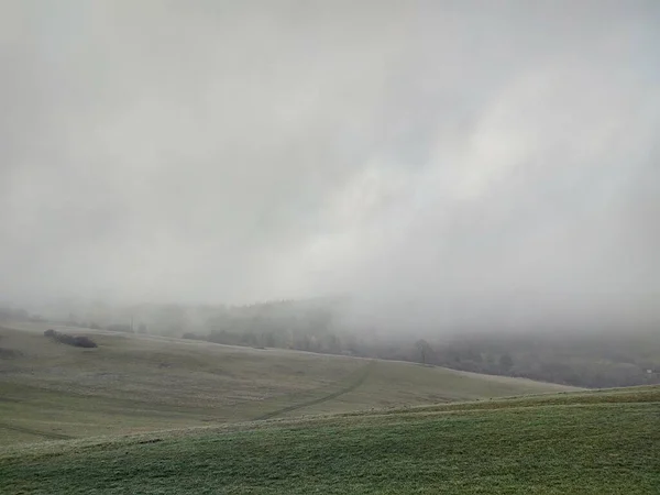Schöne Landschaft Mit Feld Bei Nebel — Stockfoto