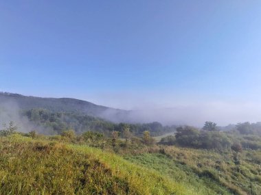 Ormanda sis. Ağaçların arkasındaki güneş ışınları. Slovakya