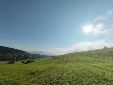 Ormanda sis. Ağaçların arkasındaki güneş ışınları. Slovakya