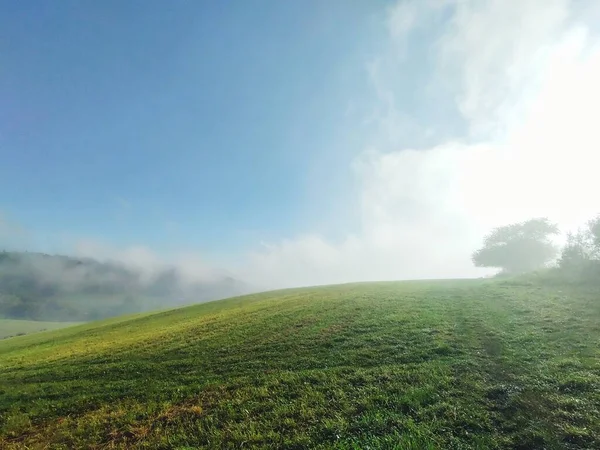 Ceaţă Pădure Razele Solare Din Spatele Copacilor Slovacia — Fotografie, imagine de stoc