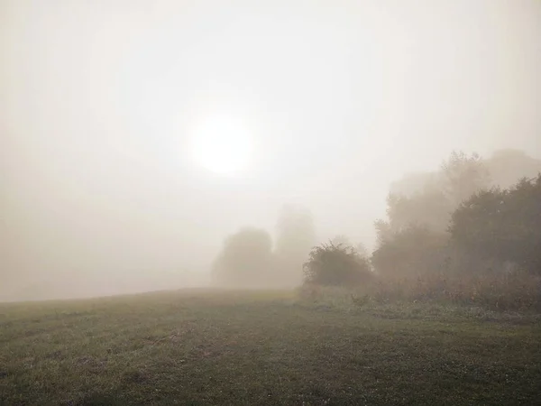 森の中の霧 木漏れ日 スロバキア — ストック写真