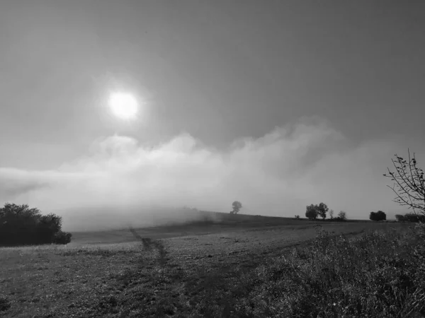 Nebel Wald Sonnenstrahlen Hinter Den Bäumen Slowakei — Stockfoto