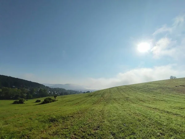 Ormanda sis. Ağaçların arkasındaki güneş ışınları. Slovakya