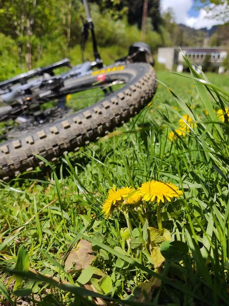 Rowerzysta Lesie Przyrodzie Latem Lub Jesienią Słowacja — Zdjęcie stockowe