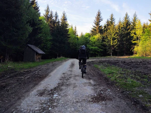 Rowerzysta Lesie Przyrodzie Latem Lub Jesienią Słowacja — Zdjęcie stockowe