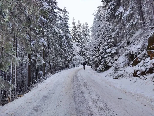 Cyklista Lese Přírodě Sněhu Během Zimy Slovensko Stock Snímky
