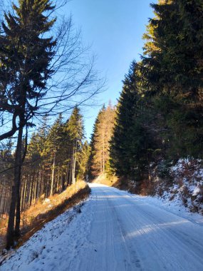 Kış boyunca kar altında doğa. Slovakya