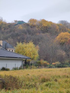 Doğanın güzel manzarası