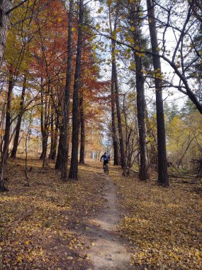 Bir adam parkta yolda yürüyor.