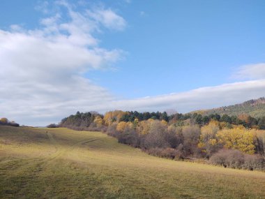 Ağacı ve tarlası olan güzel bir manzara.