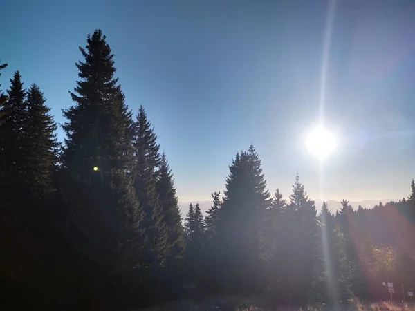 Inverze Mlhy Lesích Horách Během Podzimu Zimy Slovensko — Stock fotografie
