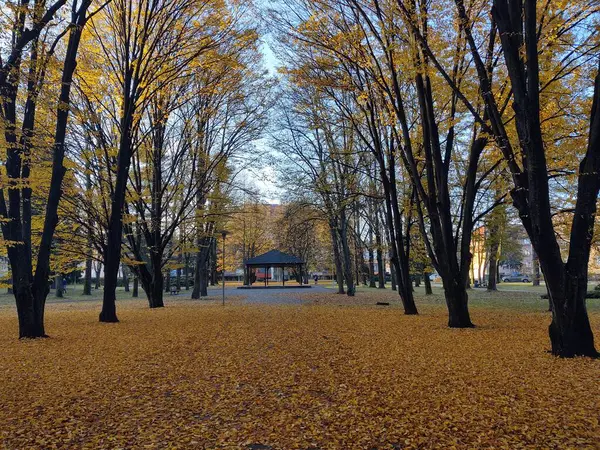 Şehirdeki Sonbahar Parkı — Stok fotoğraf