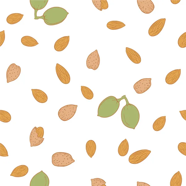 Pattern with almonds — Stock Vector