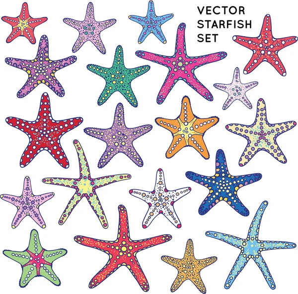 Juego de estrellas de mar vectorial — Vector de stock