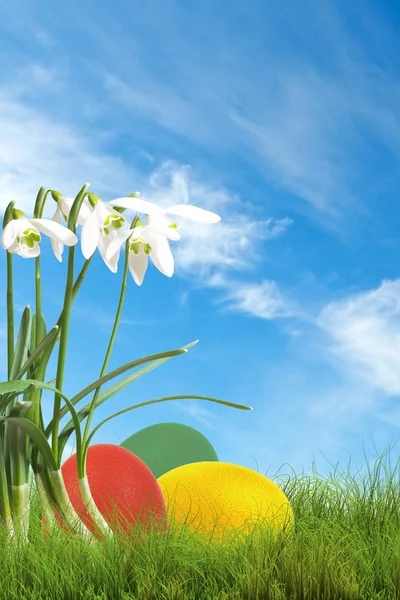 Snow drops and easter eggs Stock Image