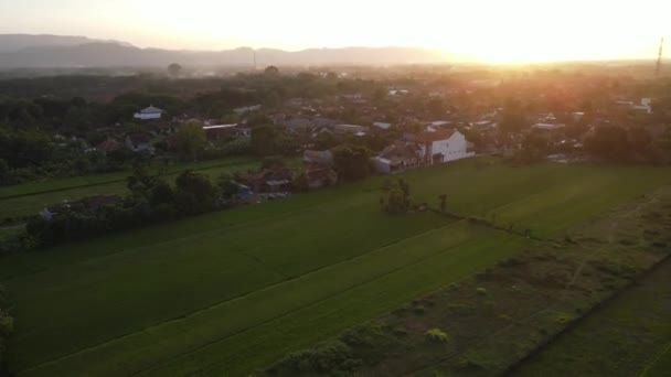 Luchtfoto Van Zonsondergang Dorp Indonesië Met Rijstveld Huis — Stockvideo