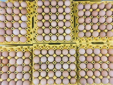 Yumurtalar için yeri olan sarı yumurta tepsisinde kahverengi ya da çiğ tavuk yumurtası, kutuda yumurta..