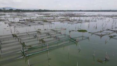 Endonezya 'da bataklıktaki geleneksel yüzen balık göletinin hava manzarası