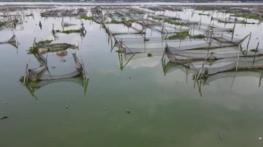 Endonezya 'da bataklıktaki geleneksel yüzen balık göletinin hava manzarası