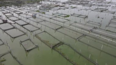Endonezya 'da bataklıktaki geleneksel yüzen balık göletinin hava manzarası