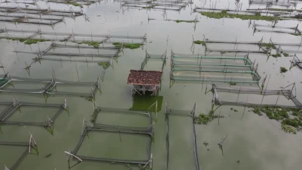 Endonezya Bataklıktaki Geleneksel Yüzen Balık Göletinin Hava Manzarası — Stok video