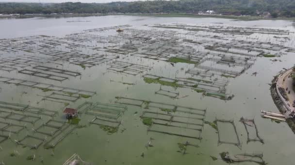 Luchtfoto Van Traditionele Drijvende Visvijver Moeras Indonesië — Stockvideo