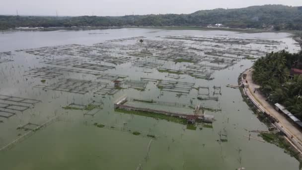 Vista Aérea Tradicional Lagoa Flutuante Peixes Pântano Indonésia — Vídeo de Stock