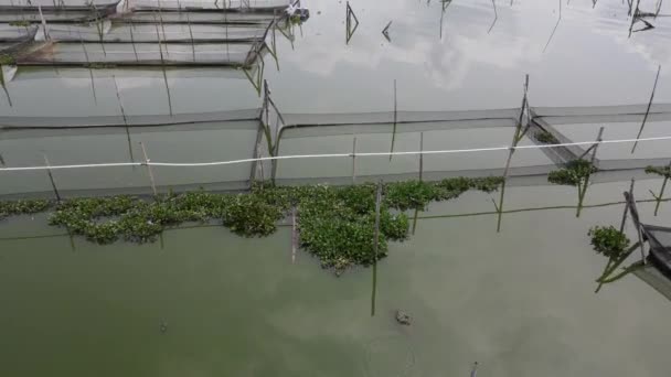 Luftaufnahme Des Traditionellen Schwimmenden Fischteichs Auf Einem Sumpfgebiet Indonesien — Stockvideo