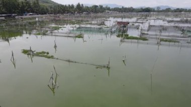 Endonezya 'da bataklıktaki geleneksel yüzen balık göletinin hava manzarası