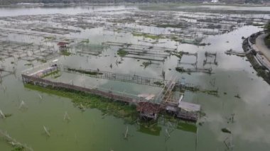 Endonezya 'da bataklıktaki geleneksel yüzen balık göletinin hava manzarası